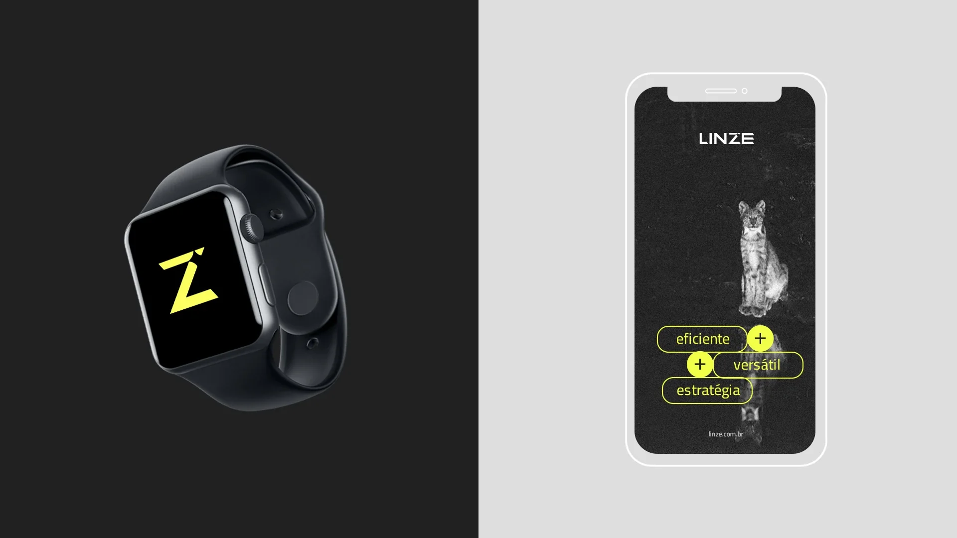 Linze application